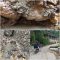 IMG 20261031 WA0178