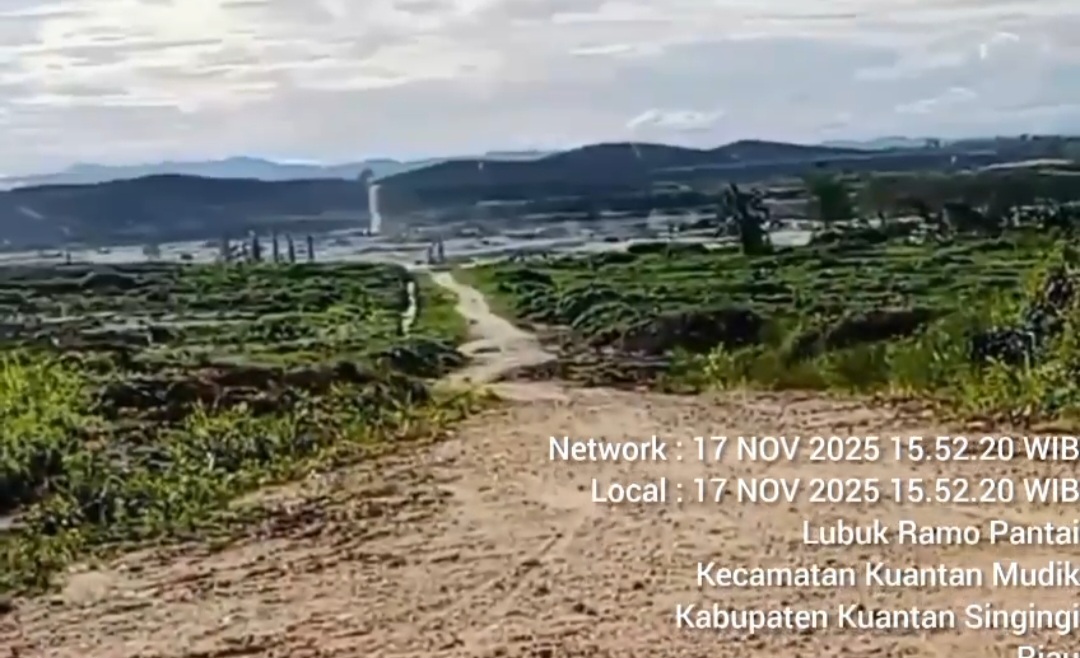 Screenshot 20251118 074250 WhatsAppBusiness