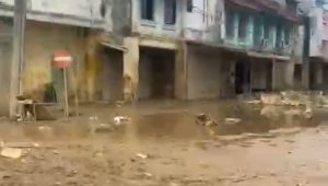 Screenshot 20251220 125756 WhatsAppBusiness