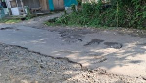 Screenshot 20260222 122655 Samsung Internet