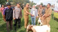 Pemkab Tanggamus Bersama ASPONAK Bazar Hewan Qurban