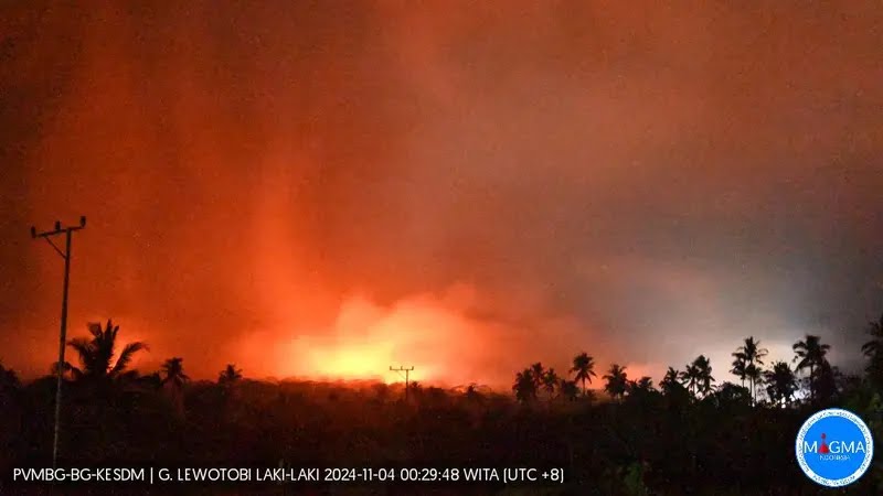 "GUNUNG LEWOTOBI KEMBALI BEREAKSI WARGA PANIK LARI MENYELAMATKAN DIRI" Gunung Lewotobi Laki-laki di Kabupaten Flores Timur, NTT kembali erupsi dahsyat pada, Minggu 3 November 2024 malam. Akibat hujan pasir dan mengeluarkan lava pijar dari arah gunung, warga panik dan lari berhamburan ke Boru Kecamatan Wulanggitang dan Kabupaten Sikka. Warga menggunakan motor hingga mobil untuk mengevakuasi diri ke tempat yang lebih aman. "Warga kebanyakan lari ke arah Boru dan Maumere,",kata Berto saat dihubungi dari Maumere, Senin 4 November 2024. Kata dia, Hingga saat ini, suasana di Desa Boru, Kecamatan Wulanggitang masih mencekam, warga masih mencari keluarga mereka yang terpencar. Menurutnya, beberapa warga dilarikan ke Puskesmas Boru karena tertimpa hujan batu saat terjadi Erupsi. Sementara itu, beberapa rumah dikabarkan terbakar akibat terdampak awan panas saat Erupsi Gunung Lewotobi Laki-laki. Dijelaskan, saat ini Gunu g Lewotobi Laki-laki berada pada status Level III (Siaga) dengan sejumlah rekomendasi. Masyarakat di sekitar Gunung Lewotobi Laki-laki tidak melakukan aktivitas apapun dalam radius 3.5 kilometer dari pusat erupsi Gunung Lewotobi Laki-laki serta sektoral 4 kilometer pada arah Utara-Timur Laut dan 5 kilometer pada sektor Timur Laut. Masyarakat di sekitar Gunung Lewotobi Laki-Laki mewaspadai potensi banjir lahar hujan pada sungai-sungai yang berhulu di puncak Gunung Lewotobi Laki-Laki jika terjadi hujan dengan intensitas tinggi. Masyarakat yang terdampak hujan abu Gunung Lewotobi Laki-laki memakai masker/penutup hidung-mulut untuk menghindari bahaya abu vulkanik pada sistem pernafasan.