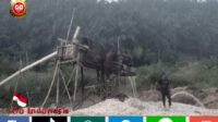 Berani, PETI Jenis Dompeng Berada Ditepi Jalan Poros Simpang Seling Merangin