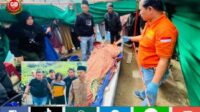 Sadis..!! Seorang Ibu Dibunuh di Kayu Aro Kerinci, Diduga Pelakunya Anak Kandung Sendiri