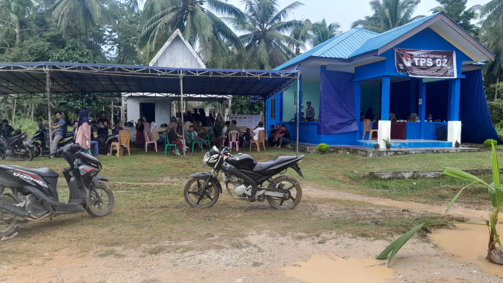 Warga Kelarik Utara Tanam Pohon Kelapa di Tengah Jalan Rusak sebagai Bentuk Protes